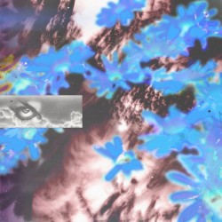 Soaring Ora