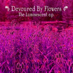 The Luminescent