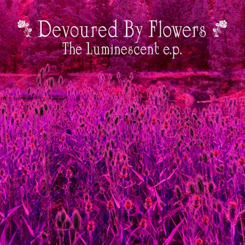 The Luminescent