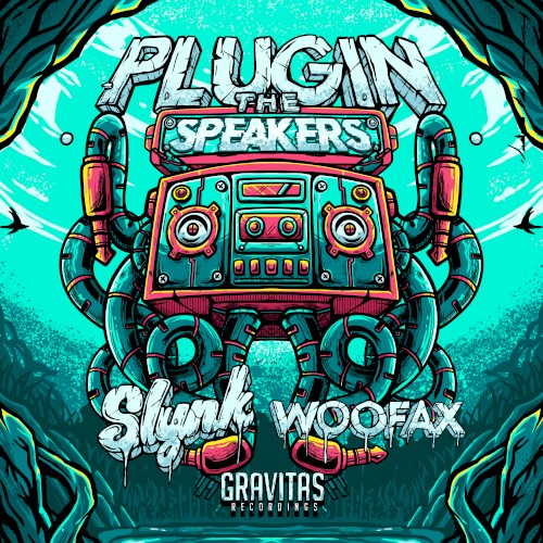 Plugin the Speakers