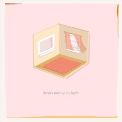 Dove’s Tail in Pink Light