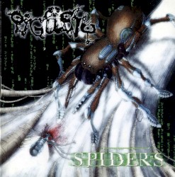 Spiders