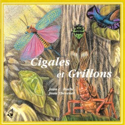 Cigales et grillons / Cicadas and Crickets