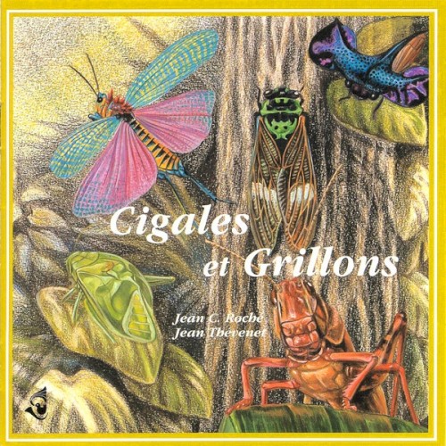 Cigales et grillons / Cicadas and Crickets