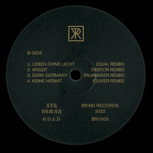 G.O.L.D / Technofossil Remix Split
