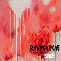 Spice (remix)