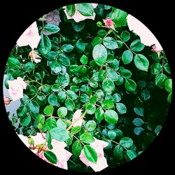 Broken Boy EP