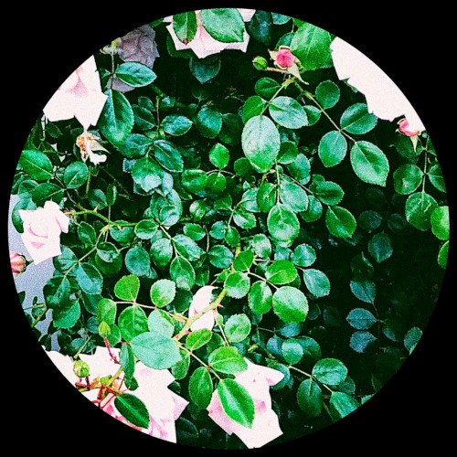 Broken Boy EP