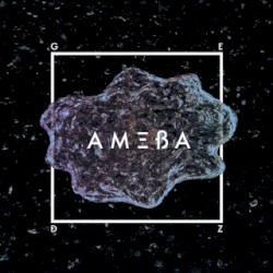 Ameba