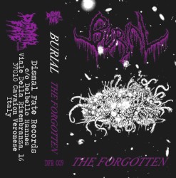 The Forgotten