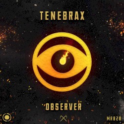 Observer