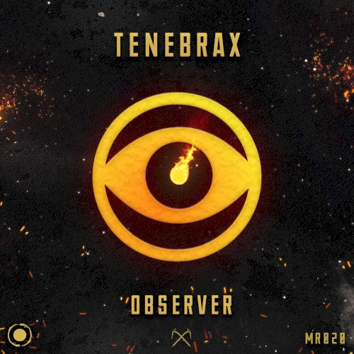 Observer