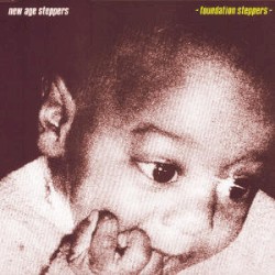 Foundation Steppers