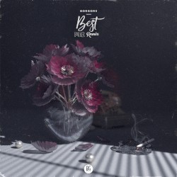 Best (Parker remix)