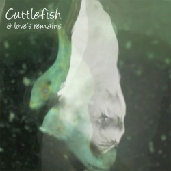 Cuttlefish and Love's Remains