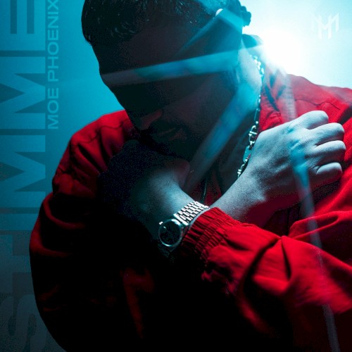 Stimme