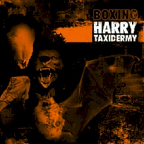 Taxidermy: Boxing Harry