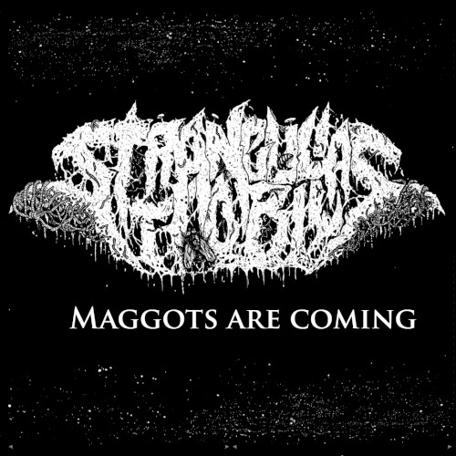 Maggots Are Coming