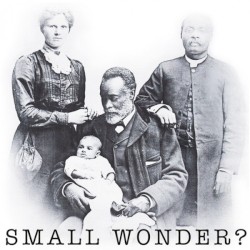 Small Wonder?