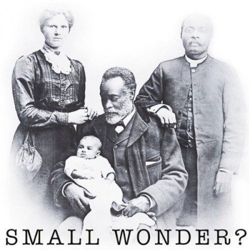 Small Wonder?