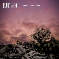 Never Evergreen