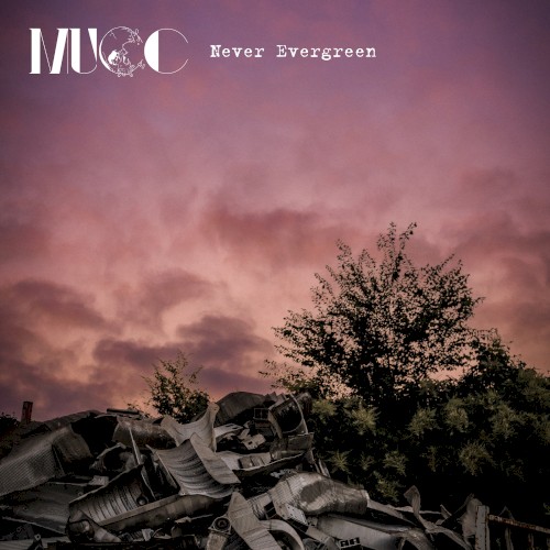 Never Evergreen