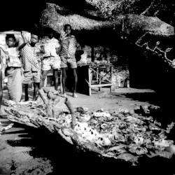 Tribal War / Sweet