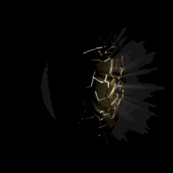 Earwig