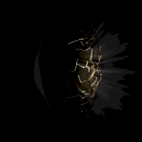 Earwig