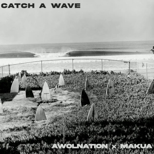 Catch a Wave