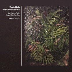 Voyage Beyond Surface