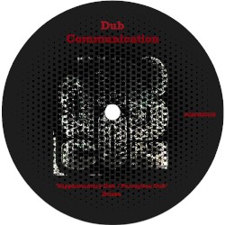 Supplementary Dub / Perception Dub