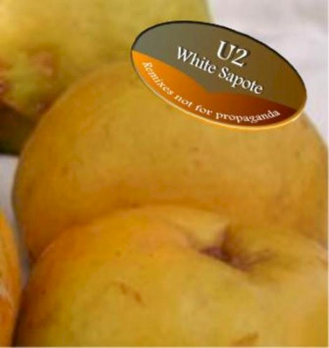 White Sapote: Remixes Not for Propaganda