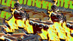EGGS BENTLEY