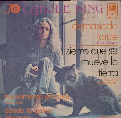 Demasiado Tarde = It's Too Late
