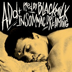 Insomniac Dreaming