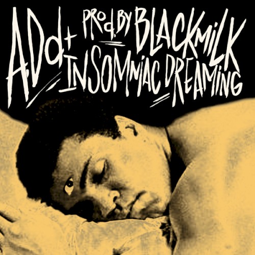 Insomniac Dreaming