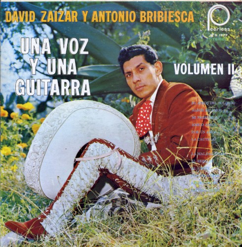 Una voz y una guitarra, vol. 2