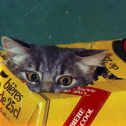 Meow