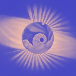 TRANS003