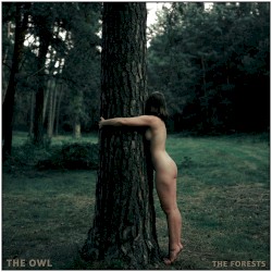The Forests