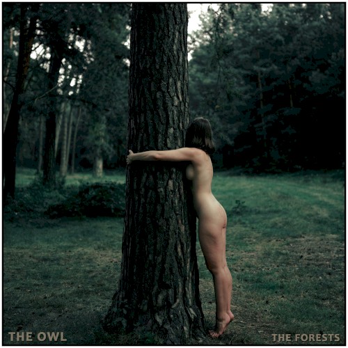 The Forests