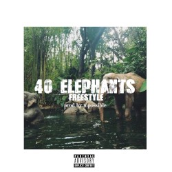 40 Elephants Freestyle