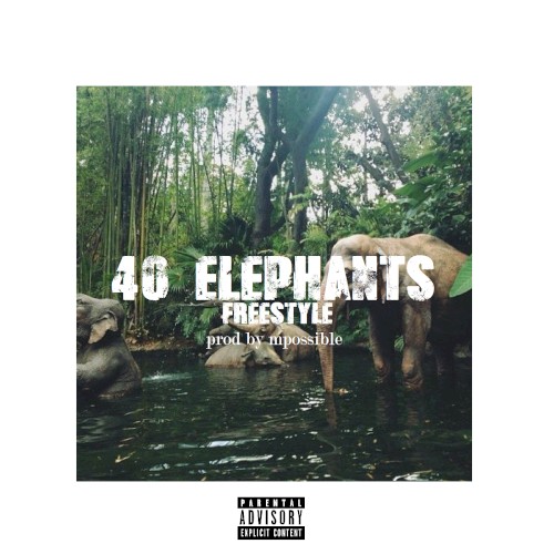 40 Elephants Freestyle
