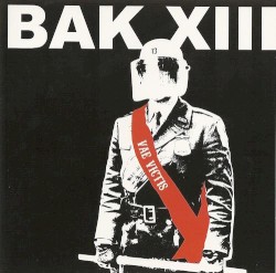 Vae Victis