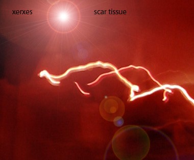 Scar Tissue