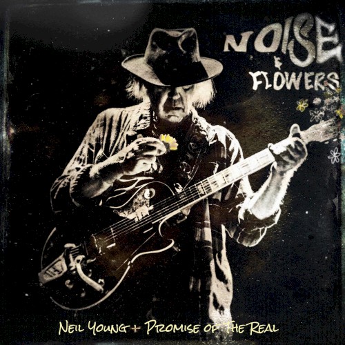 Noise & Flowers