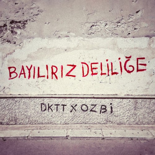 Bayılırız Deliliğe