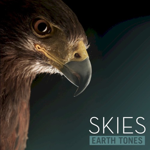 Skies