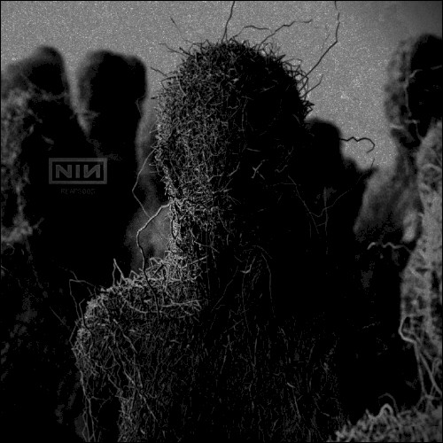 Nine Inch Nails - Reaps Remixes 005